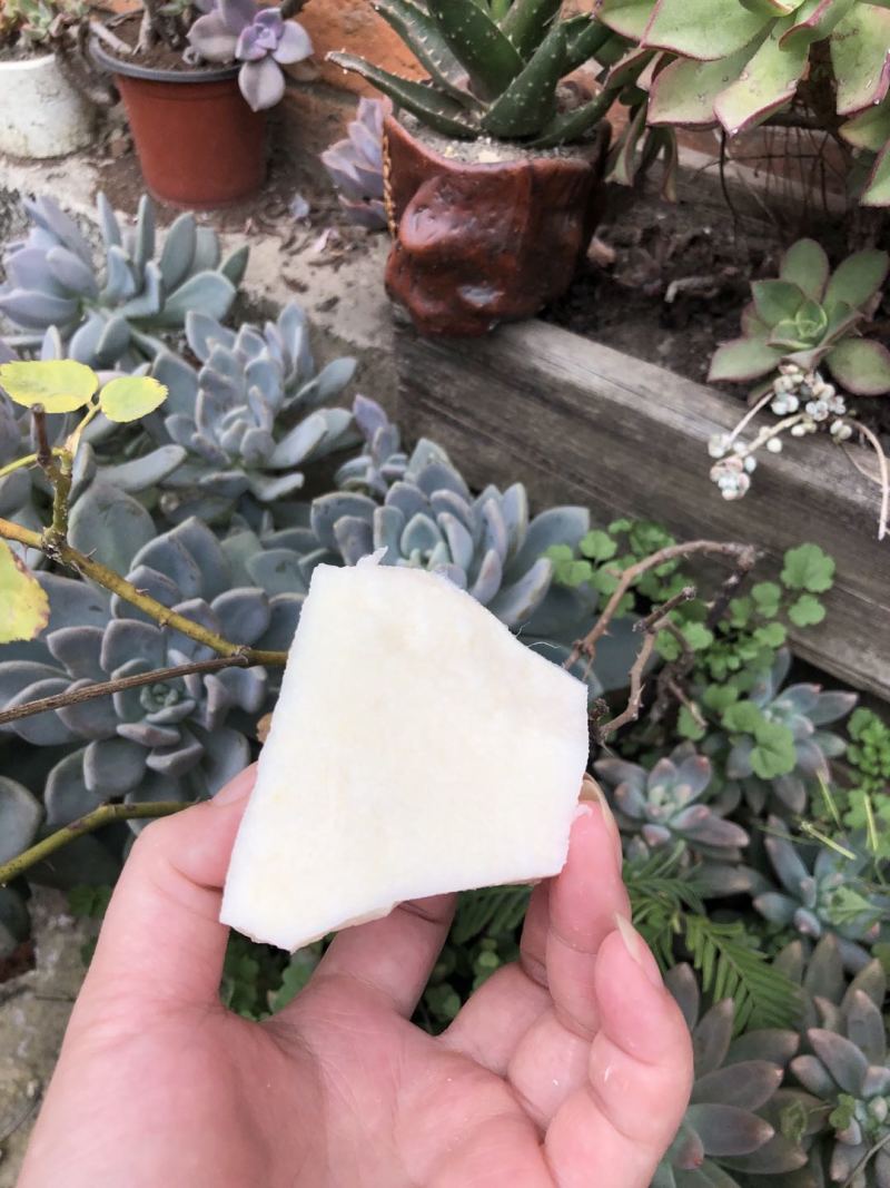 新鲜凉薯10斤云南土瓜红土豆薯农家现挖沙土番薯地瓜_一