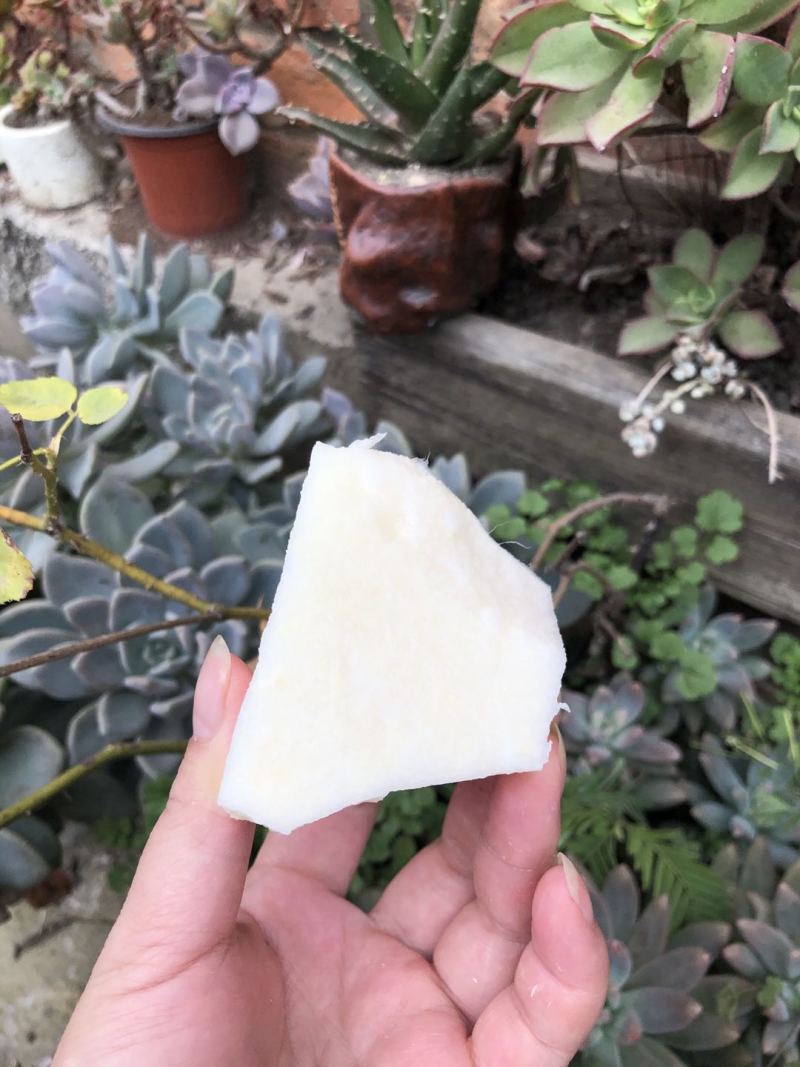 新鲜凉薯10斤云南土瓜红土豆薯农家现挖沙土番薯地瓜_一