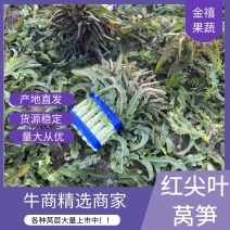 【推荐】山东精品莴笋质量好诚信经营视频看货欢迎来