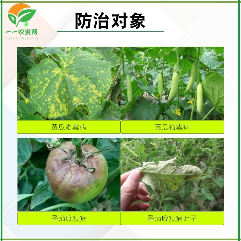 苏利凡响氰霜·百菌清黄瓜霜霉病番茄晚疫病农药杀菌剂