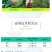 苏利凡响氰霜·百菌清黄瓜霜霉病番茄晚疫病农药杀菌剂