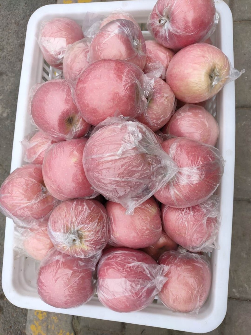【新鲜上市】山西红富士苹果口感脆甜多汁自己种植量大从优