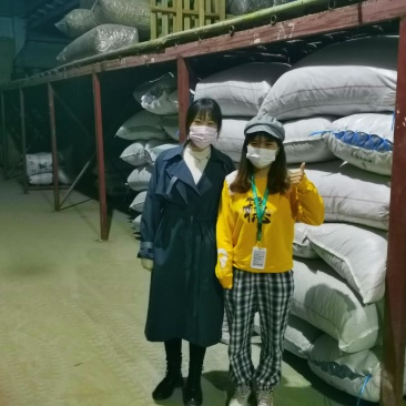 【一件代发】产地批发香菇干货品种齐全货量大支持拿样