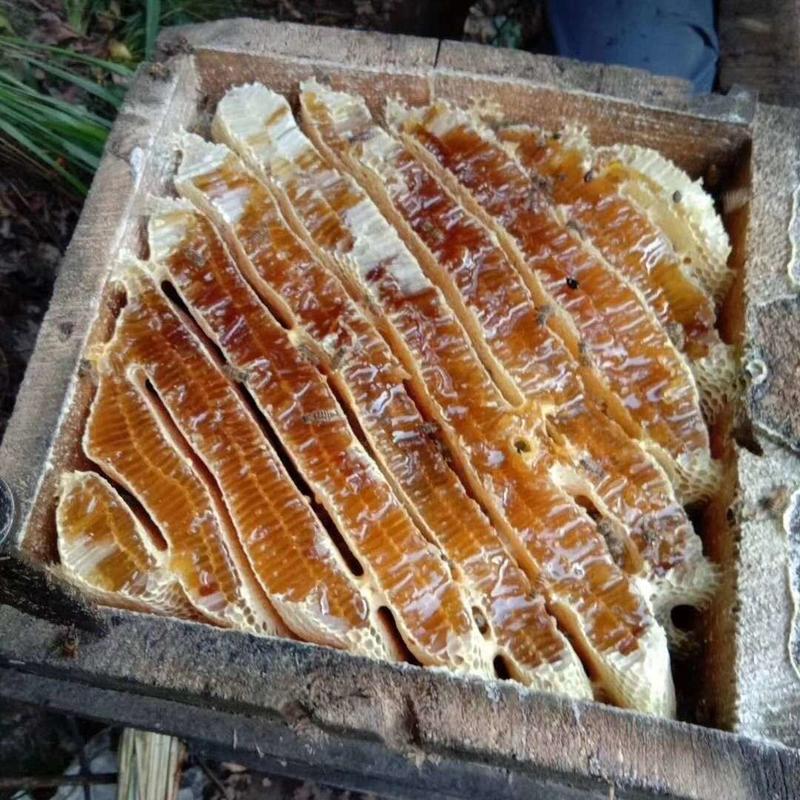 【一件代发】福建农家土蜂蜜无任何添加一瓶2斤装保质保量