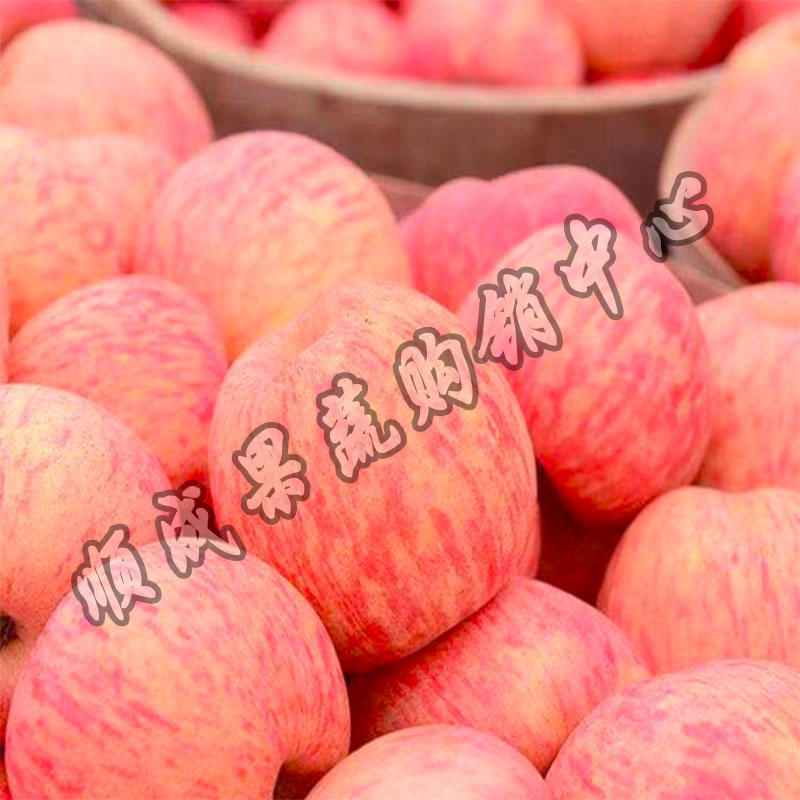 【荐】红富士苹果应季水果新鲜一级果80#脆甜视频产地看货
