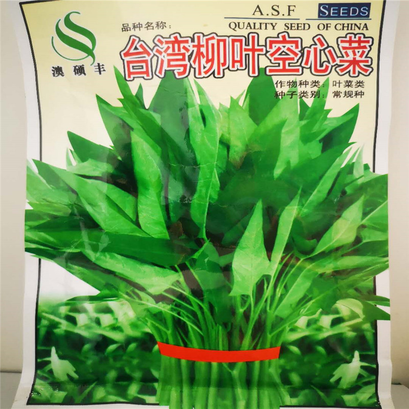 台湾柳叶空心菜种子散装四季抗热竹叶空心菜种子大田高产抗病