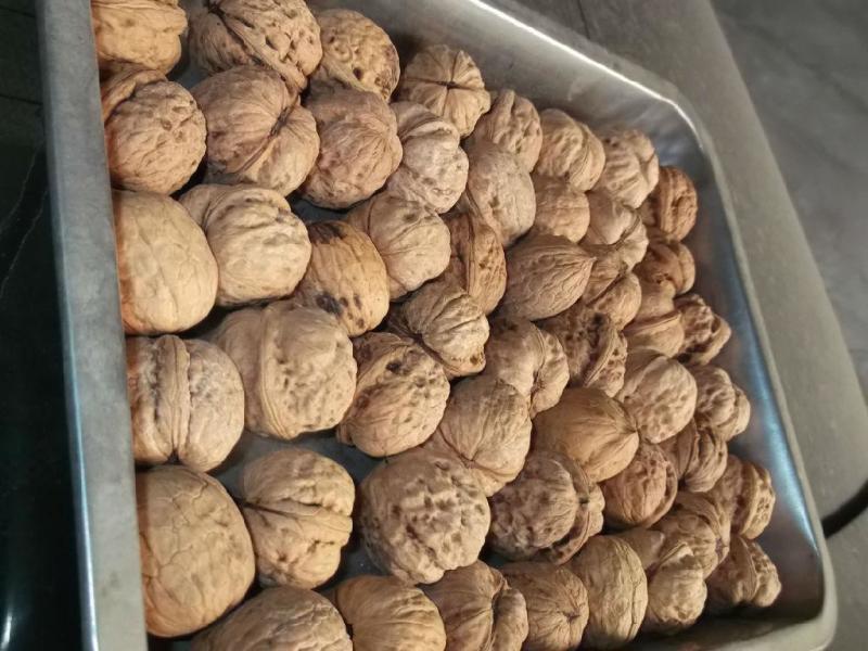 精品云南大麻子纸皮核桃大量批发个头大口感好品种齐全