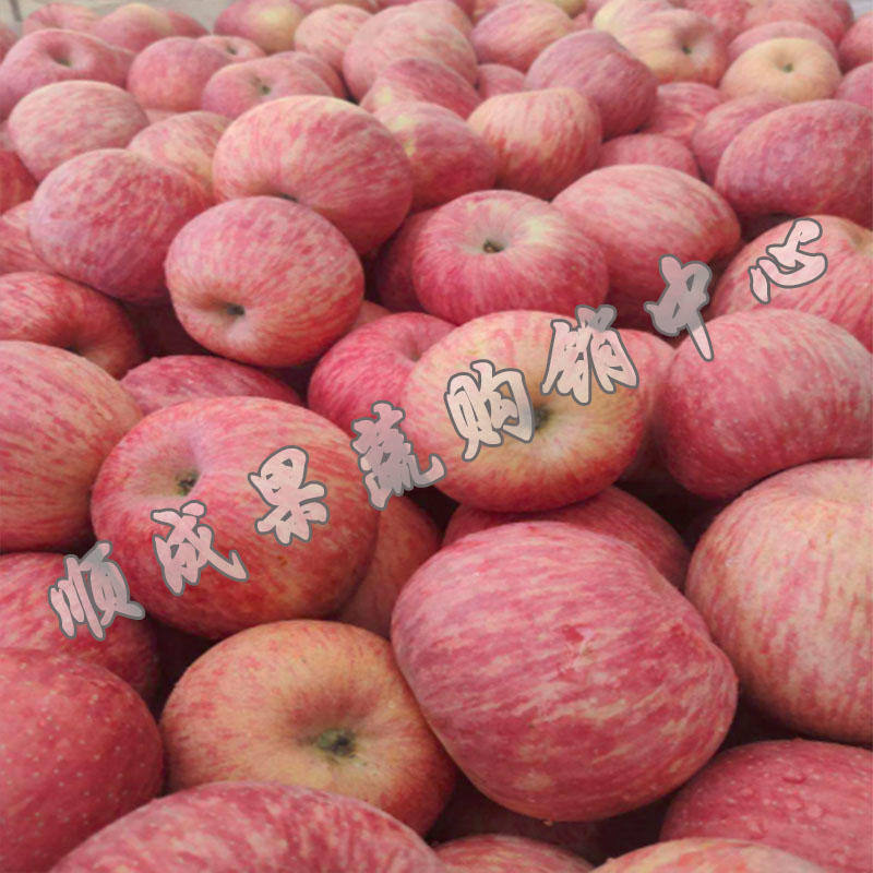 【荐】红富士苹果应季水果新鲜一级果80#脆甜视频产地看货