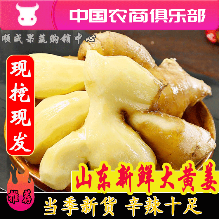 山东优质生姜品种全货源充足价格低视频看货全国发货