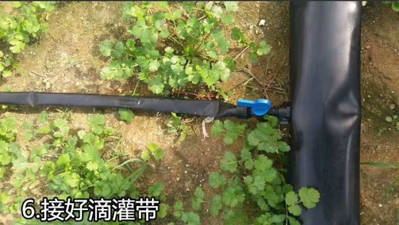 pe管贴片滴灌带滴灌灌溉大棚配件灌溉农用水带软管喷灌带
