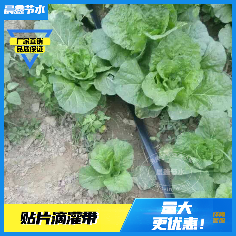 贴片滴灌带瓜果蔬菜大棚配件灌溉农用水带软管喷灌带