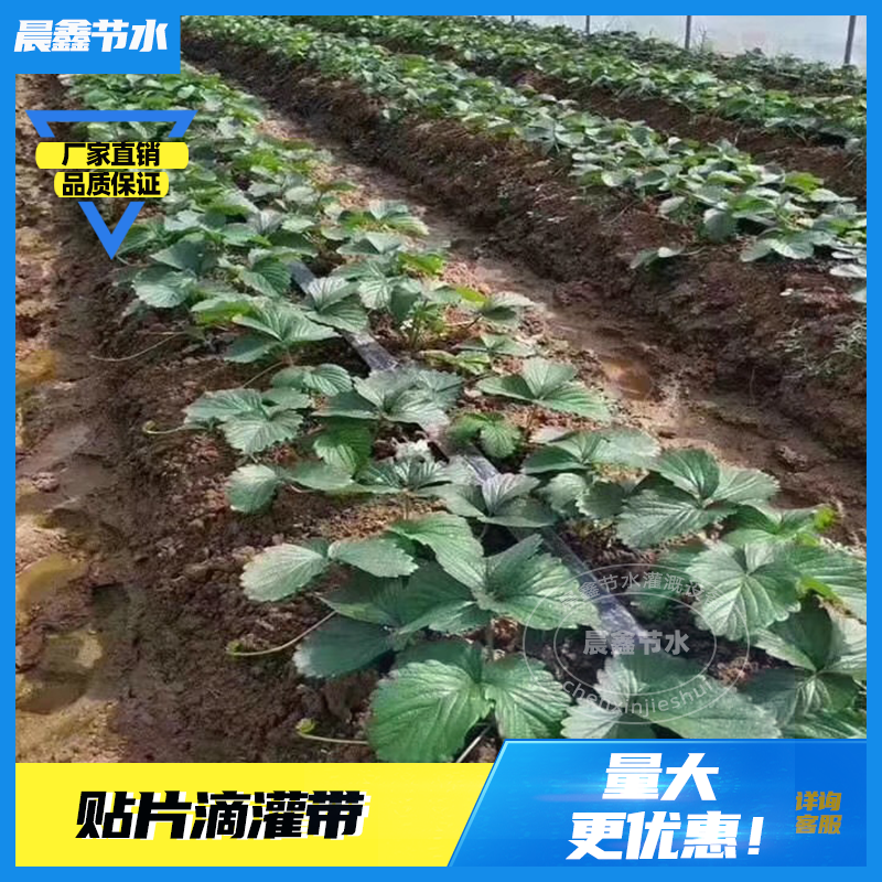 贴片滴灌带瓜果蔬菜大棚配件灌溉农用水带软管喷灌带