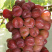 红国王葡萄苗心愿葡萄树苗南方北方露天果树苗地栽当年结果