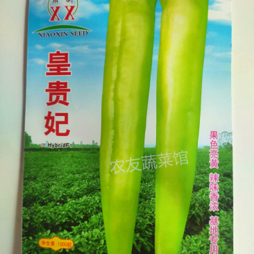 萧新皇贵妃辣椒种子淡黄浓辣早熟挂果多春秋播种尖椒杂交