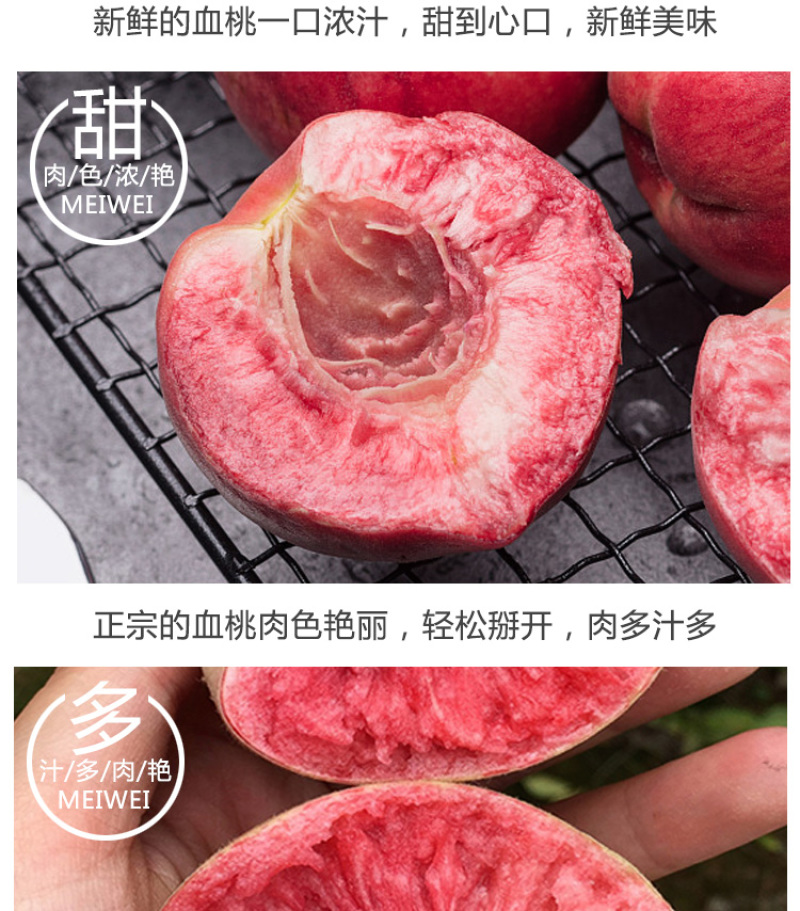 果树苗早熟胭脂红桃树苗嫁接红肉血桃苗南方北方种植当年