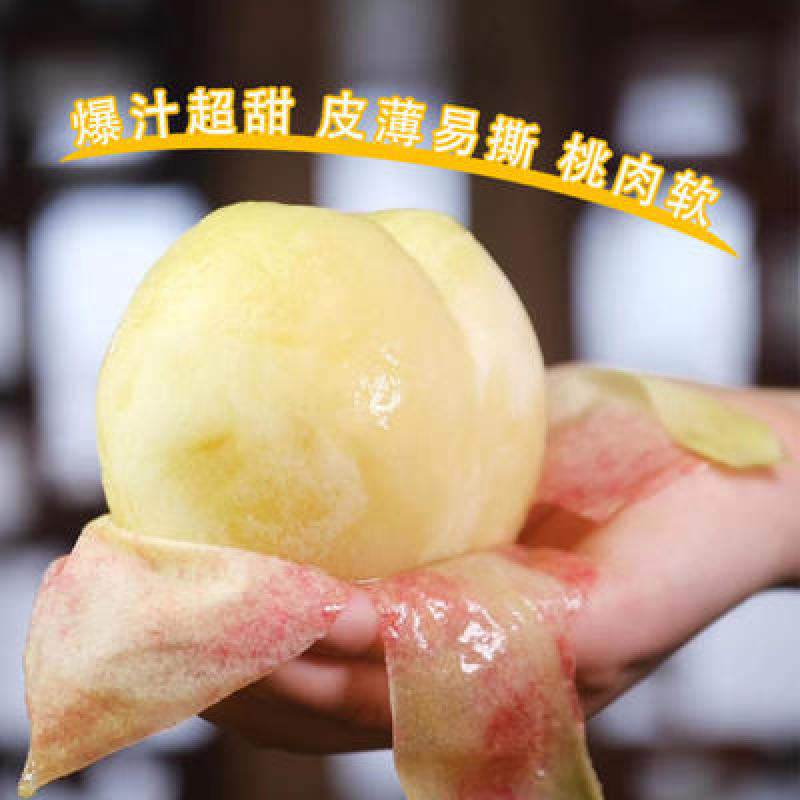 嫁接桃树苗盆栽地栽早熟品种无锡阳山水蜜桃苗南北方种植当年