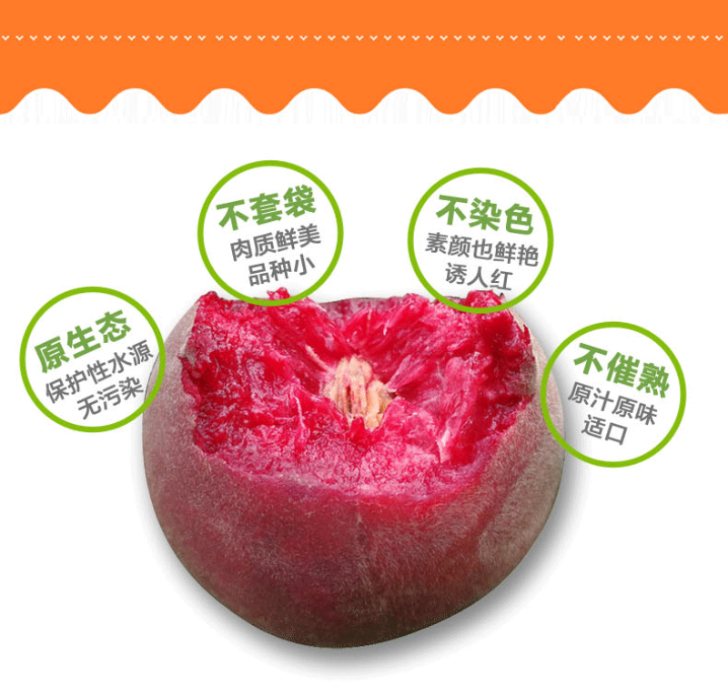 嫁接新品种贵妃血桃桃树苗中华血桃树苗紫肉血桃当年结果南北
