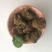 干鸡屎水泥地晾晒花卉蔬菜专用有机肥纯干鸡粪块
