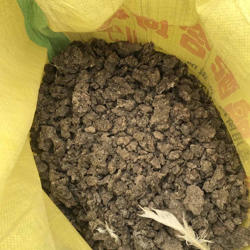 干鸡屎水泥地晾晒花卉蔬菜专用有机肥纯干鸡粪块