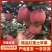 【精品】潍坊万亩膜袋红富士苹果脆甜可口，保质保量