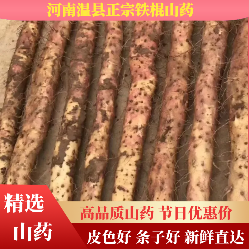 【爆款】温县铁棍山药自家种植纯种铁棍山药保质保量