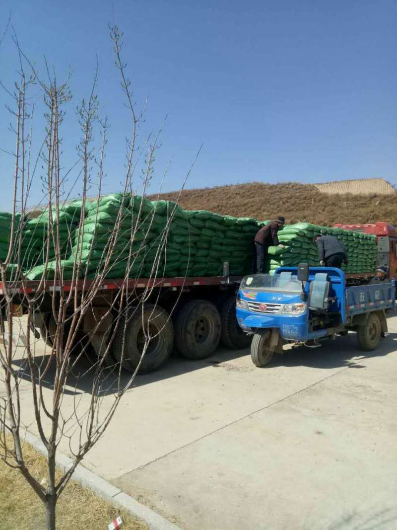 【推荐】羊粪厂家直销量大优惠温和安全植物性有机肥料