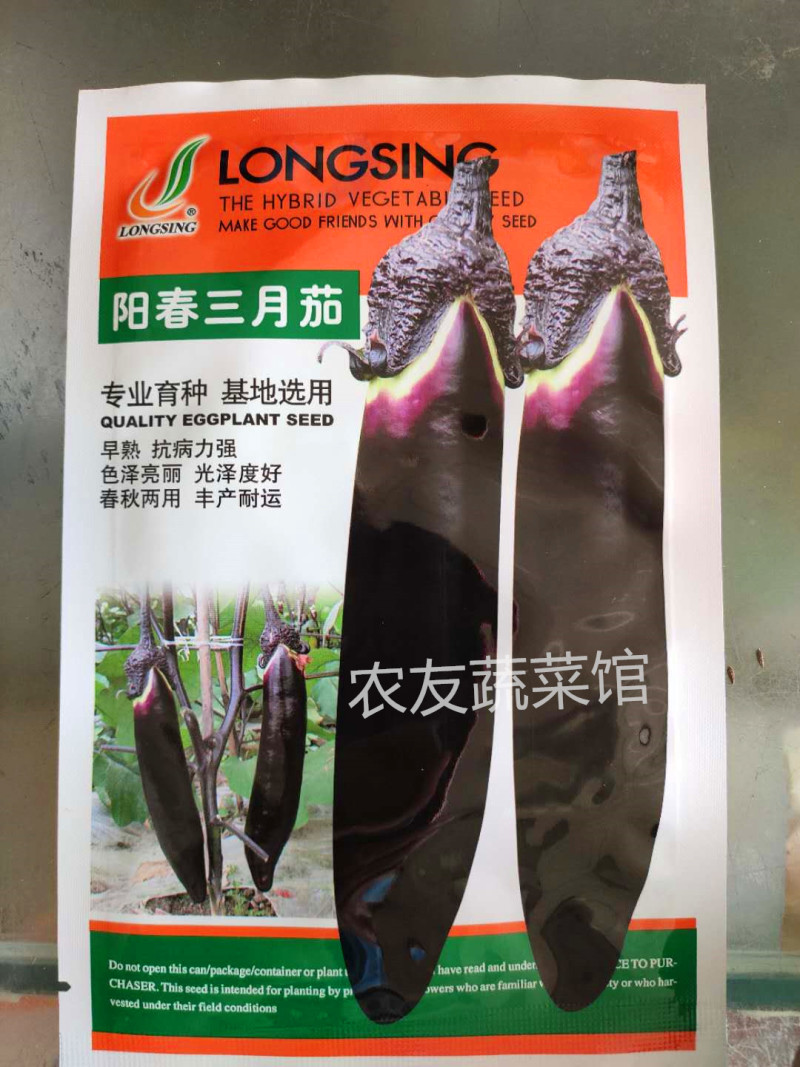 紫茄种子阳春三月茄高产抗病耐热耐湿耐低温耐弱光早熟优质茄