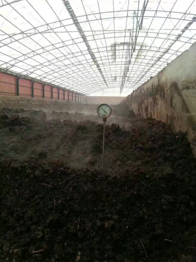 发酵池发酵腐熟羊粪动物粪便底料脐橙专用有机肥
