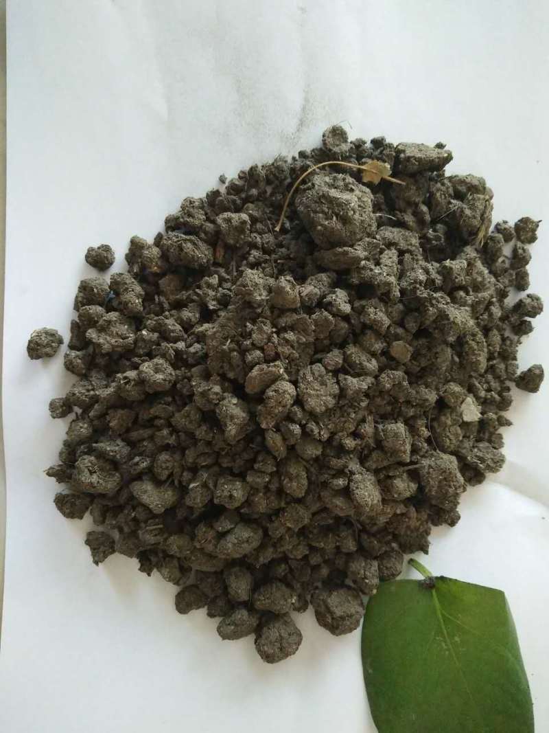 发酵池发酵腐熟羊粪动物粪便底料脐橙专用有机肥