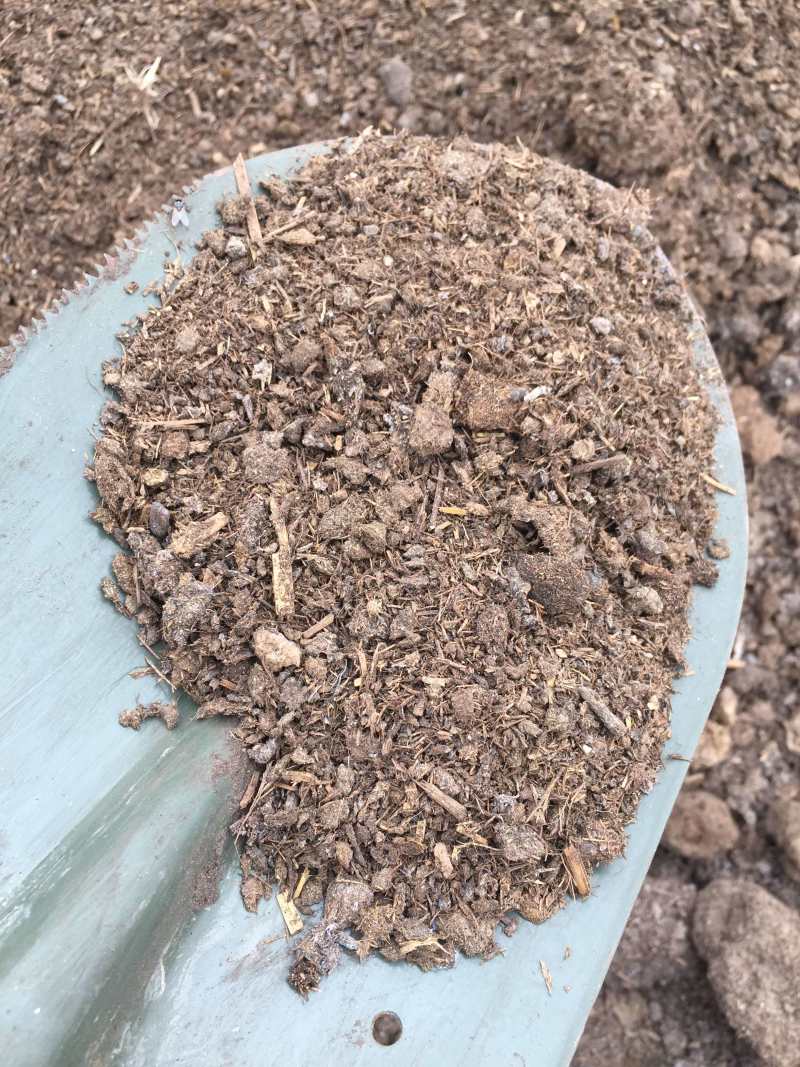 发酵牛粪，发酵池添加生物菌高温发酵有机肥
