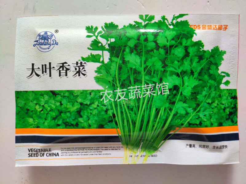 香菜种子金盛达大叶香菜高产抗病早熟耐热耐寒纤维少浓香优质