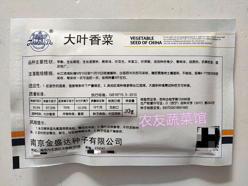 香菜种子金盛达大叶香菜高产抗病早熟耐热耐寒纤维少浓香优质
