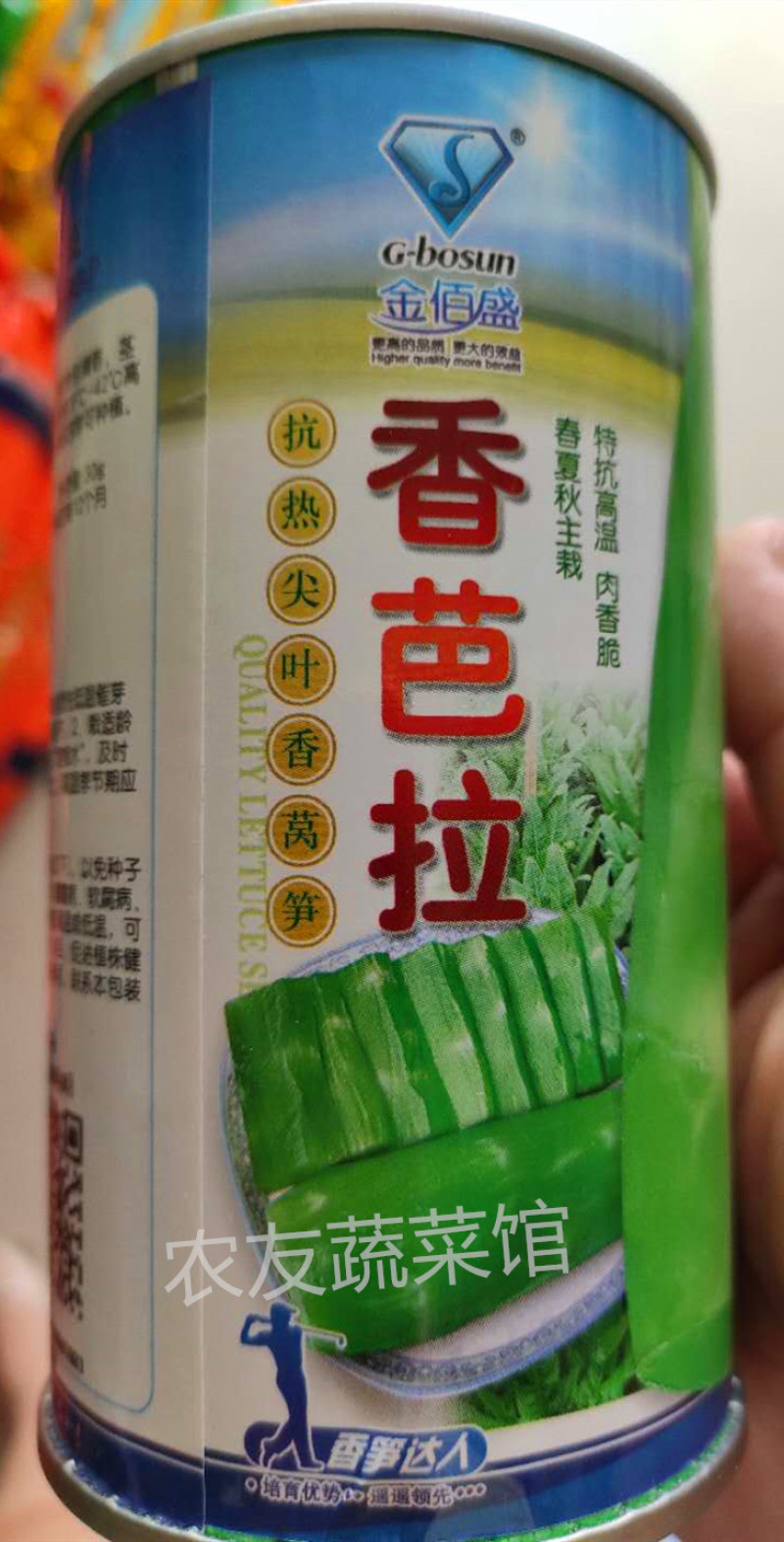 香芭拉莴笋种子高产稳产抗热耐寒清香脆爽春夏秋主栽