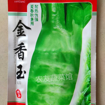 金香玉莴笋种子高产稳产抗热耐寒清香脆爽春夏秋主栽