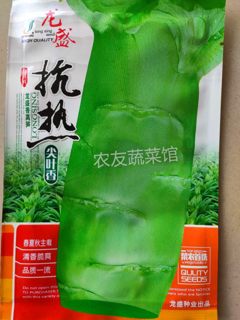 抗热尖叶香莴笋种子高产稳产抗热耐寒清香脆爽春夏秋主栽
