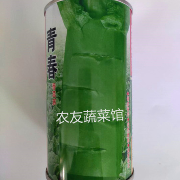 莴笋种子龙盛青春香莴笋高产稳产抗热耐寒清香脆爽春夏秋播莴