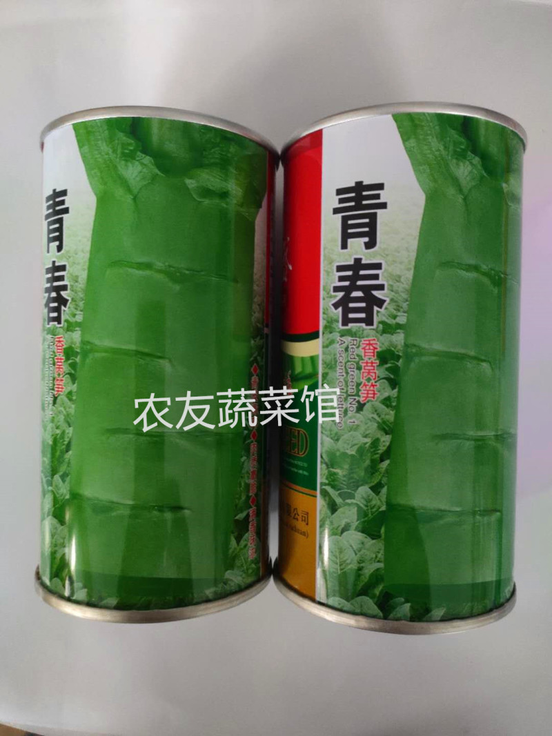 莴笋种子龙盛青春香莴笋高产稳产抗热耐寒清香脆爽春夏秋播莴