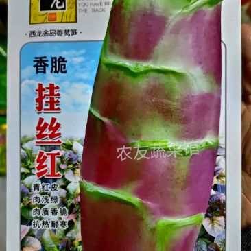香脆挂丝红莴笋种子高产稳产抗热耐寒清香脆爽春夏秋主栽