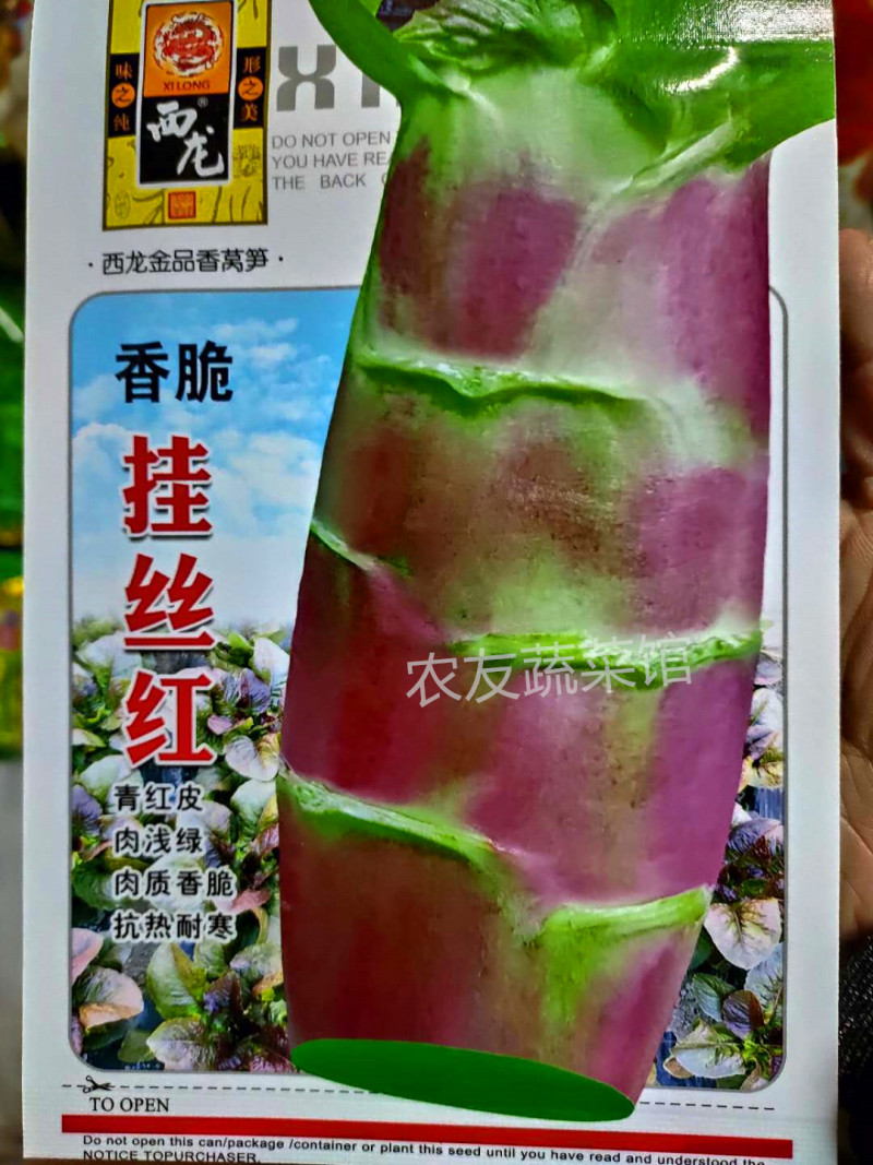 香脆挂丝红莴笋种子高产稳产抗热耐寒清香脆爽春夏秋主栽