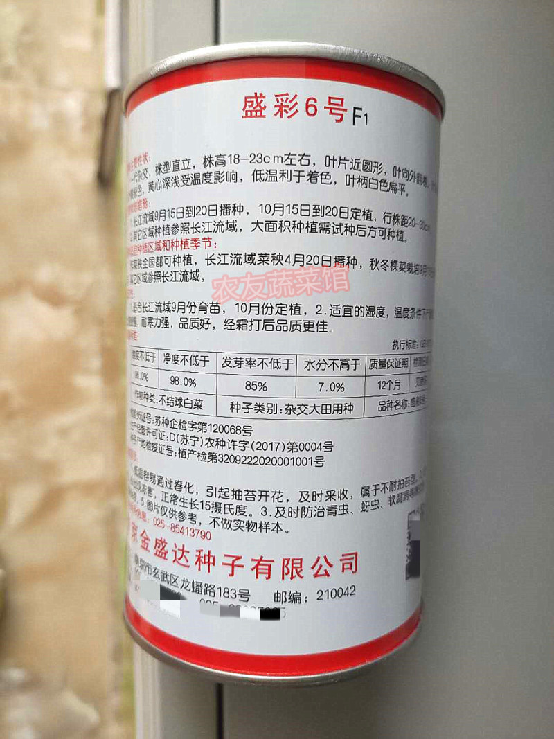 金盛达盛彩6号黄心乌种子高产抗病耐寒耐贮春秋播