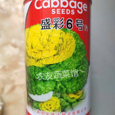 金盛达盛彩6号黄心乌种子高产抗病耐寒耐贮春秋播