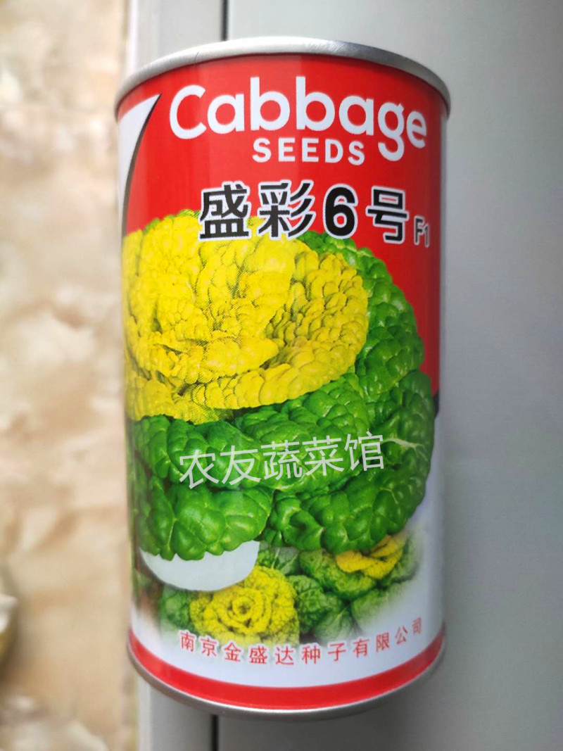 金盛达盛彩6号黄心乌种子高产抗病耐寒耐贮春秋播