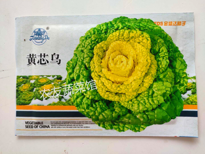 黄心乌种子金盛达黄芯乌高产抗病耐寒耐贮春秋播优质乌塌菜种