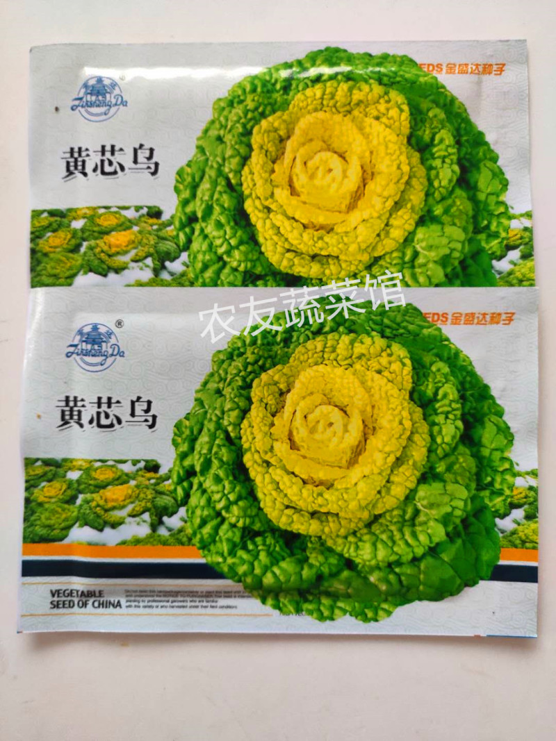 黄心乌种子金盛达黄芯乌高产抗病耐寒耐贮春秋播优质乌塌菜种