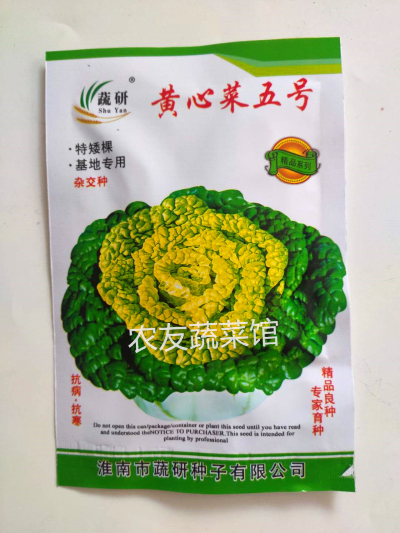 黄心乌种子蔬研黄心菜五号高产抗病耐寒耐贮春秋播