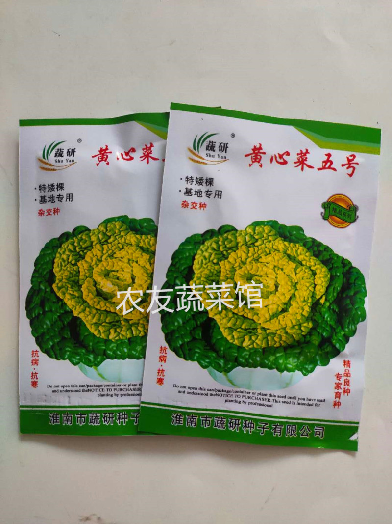 黄心乌种子蔬研黄心菜五号高产抗病耐寒耐贮春秋播
