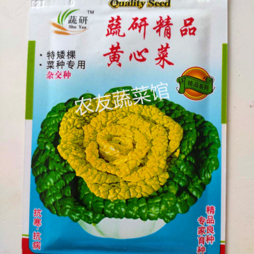 黄心乌种子蔬研精品黄心乌高产抗病耐寒耐贮春秋播