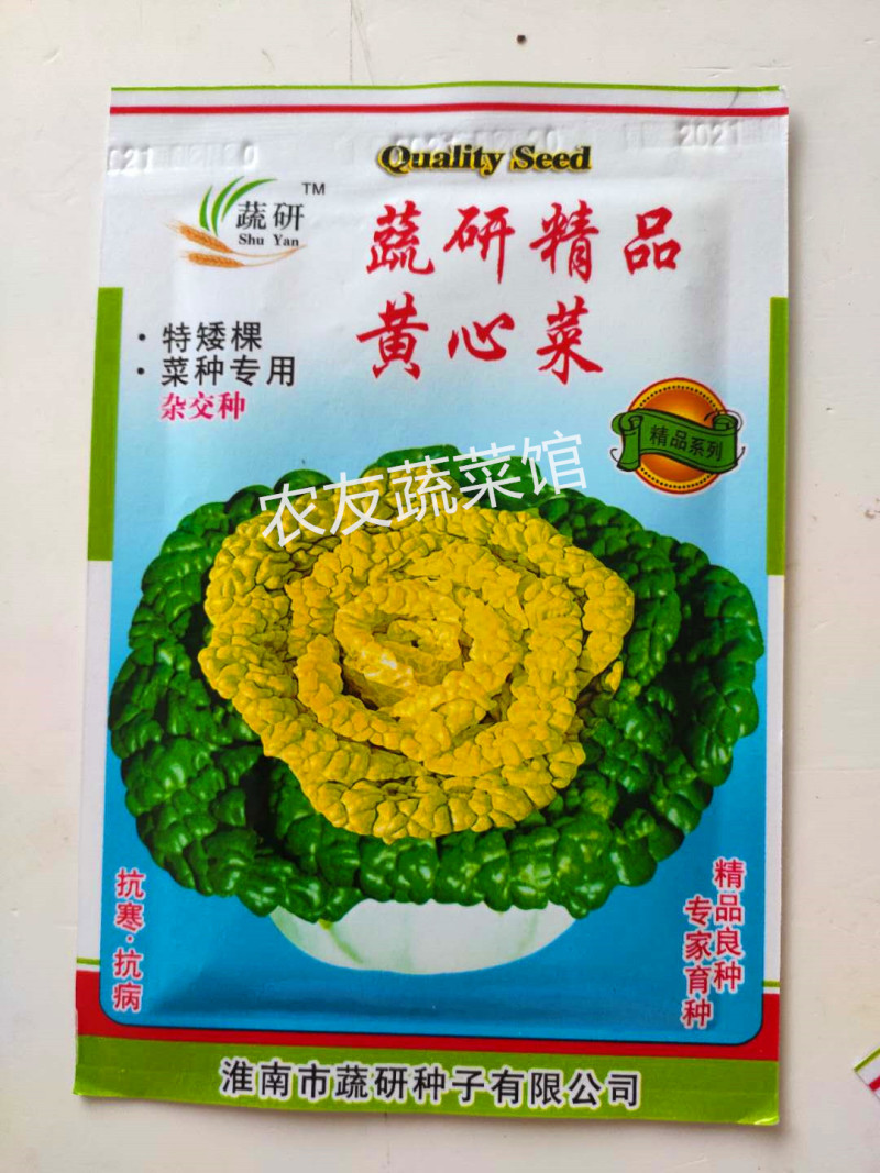黄心乌种子蔬研精品黄心乌高产抗病耐寒耐贮春秋播