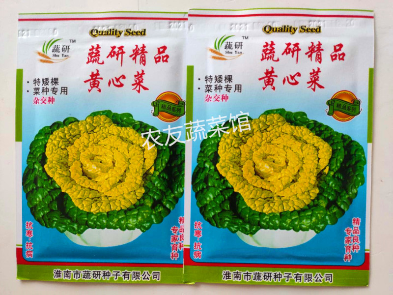 黄心乌种子蔬研精品黄心乌高产抗病耐寒耐贮春秋播