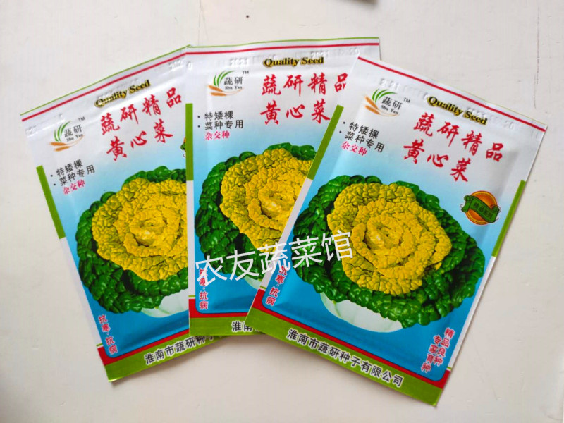黄心乌种子蔬研精品黄心乌高产抗病耐寒耐贮春秋播